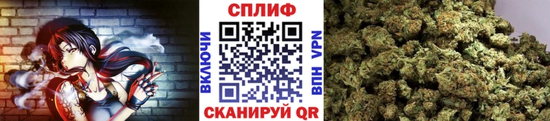 Виды наркотиков купить Кушва Амфетамин  Alpha PVP  ГАШИШ  Псилоцибиновые грибы  МЕФ  Cocaine  Канабис 