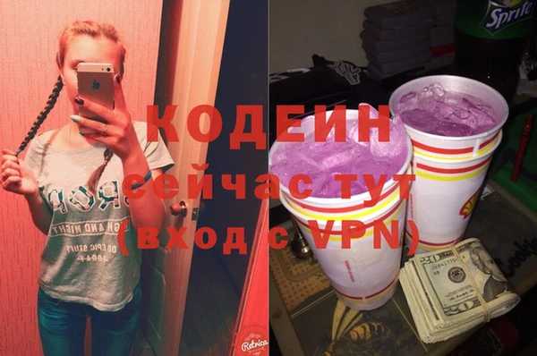шишки Балахна