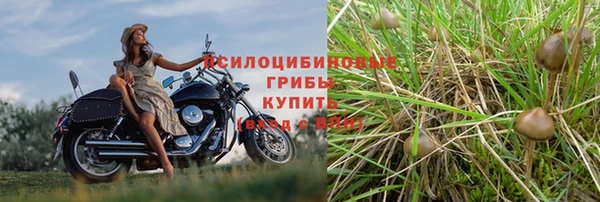 амф Баксан