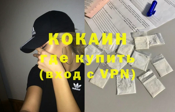 шишки Балахна