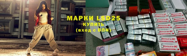 шишки Балахна