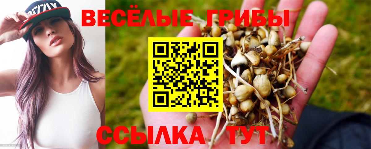 Кушва  наркотики  Вход с VPN  Галлюциногенные грибы мухоморы  Галлюциногенные грибы MAGIC MUSHROOMS 